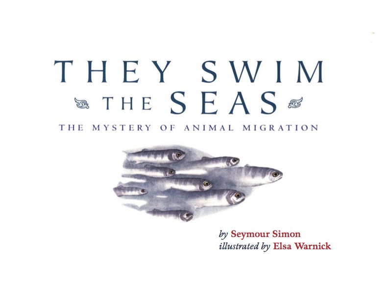 They Swim The Seas: The Mystery of Animal Migration book cover