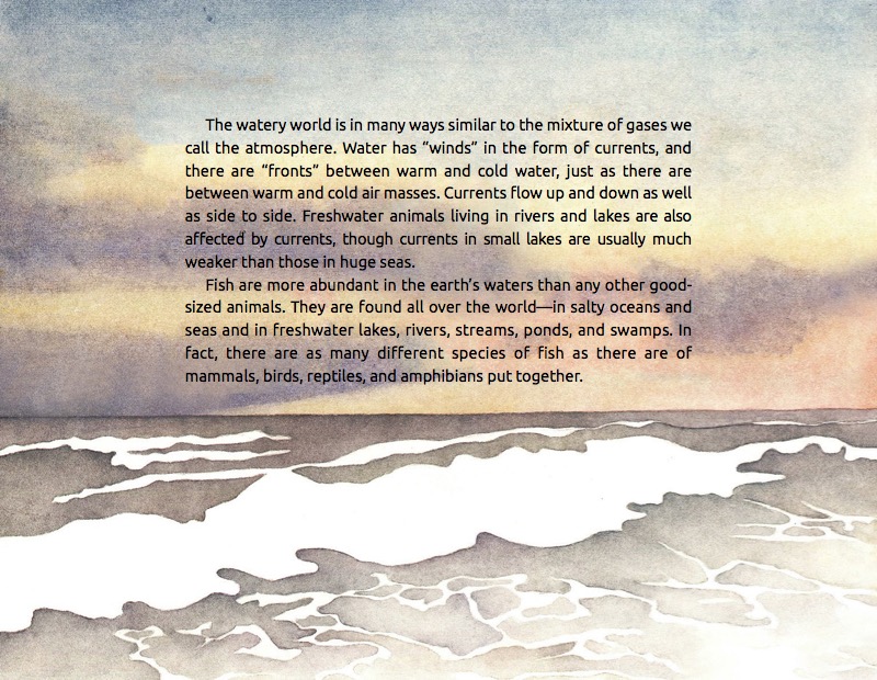 They Swim The Seas: The Mystery of Animal Migration — page 1