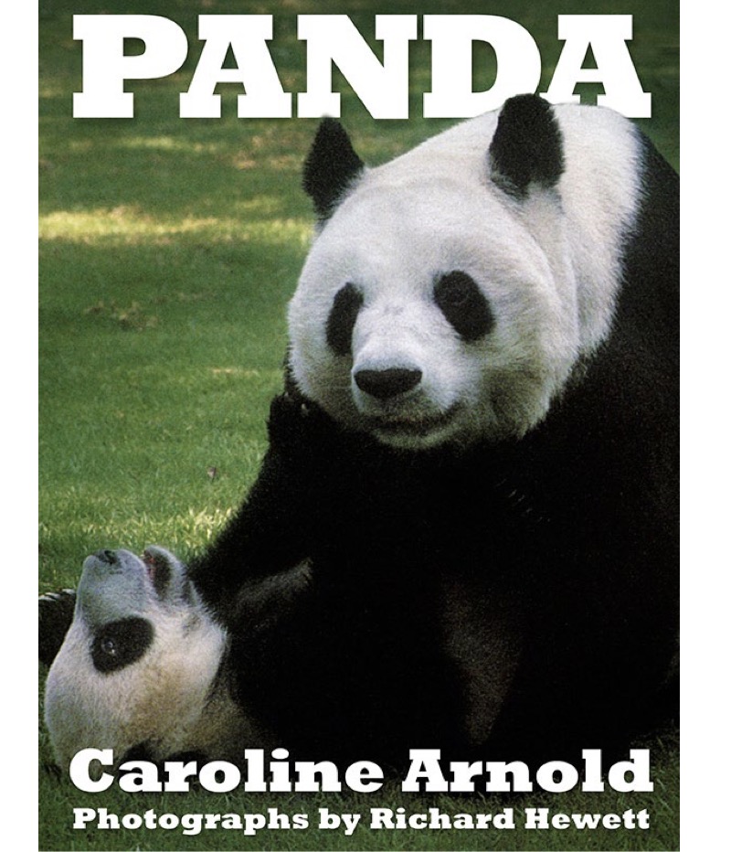 Panda book cover