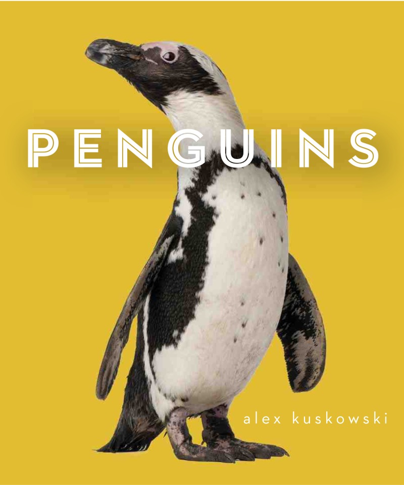 Zoo Animals: Penguins book cover