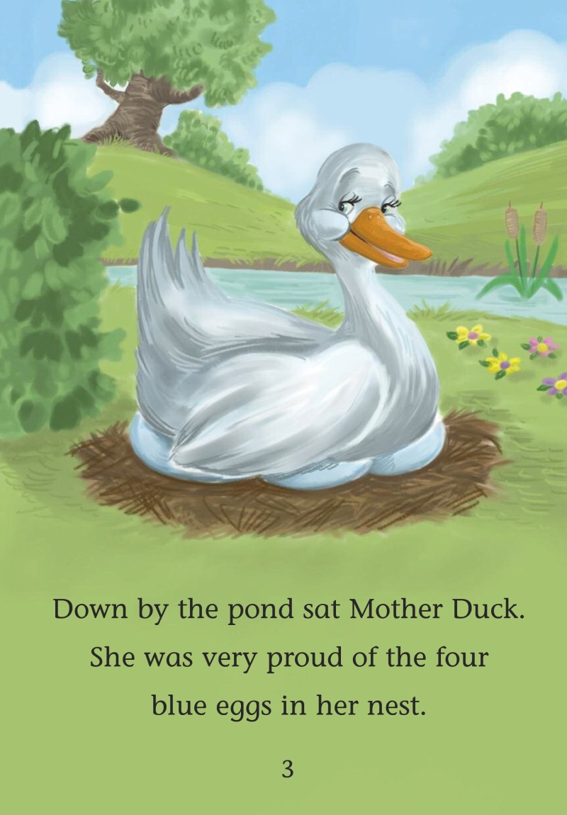 The Lovely Duckling book cover