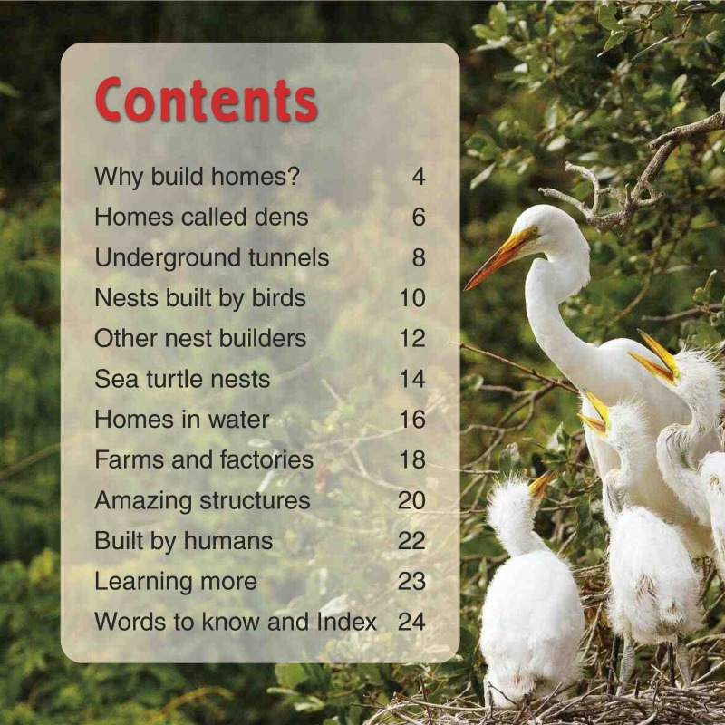 How and Why do Animals Build Homes? book cover