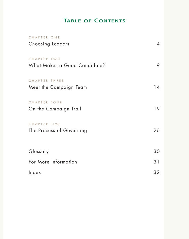 Citizens And Their Governments: Electing Leaders book cover