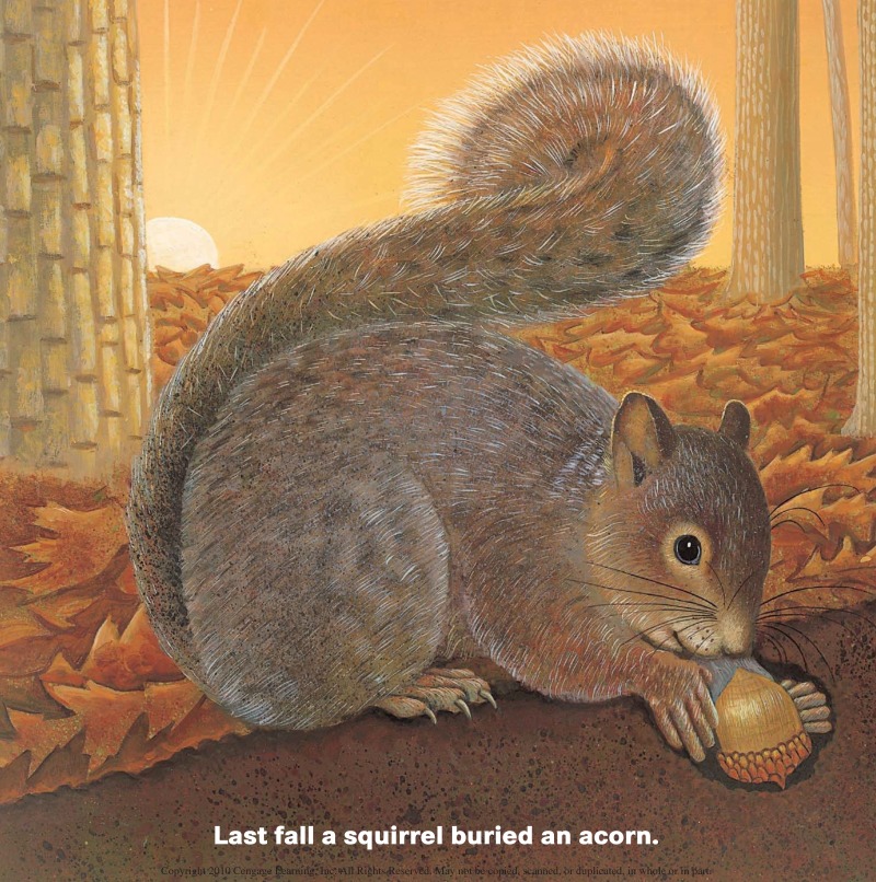 Who Will Plant a Tree? — page 1
