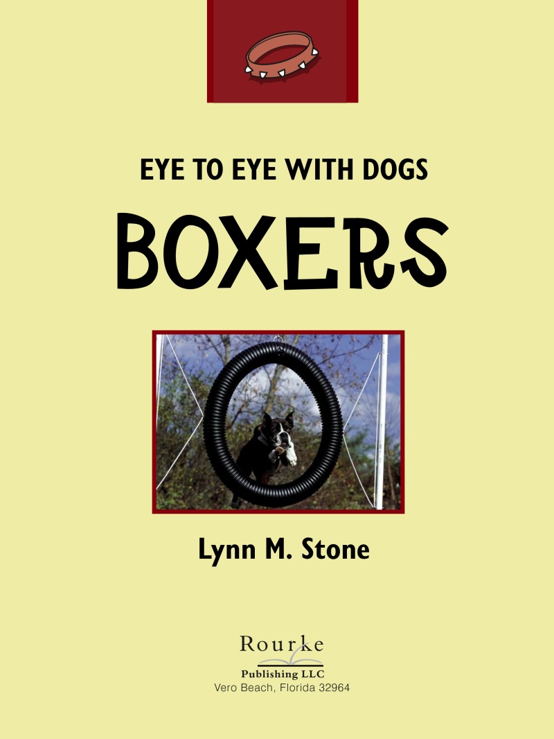 Eye To Eye With Dogs: Boxers book cover