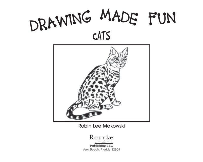 Drawing Made Fun: Cats book cover