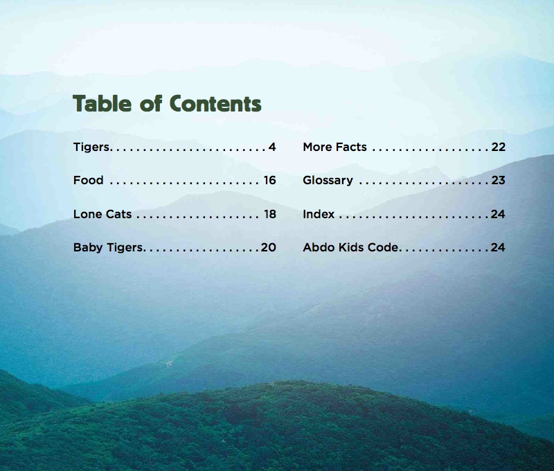 Big Cats: Tigers book cover