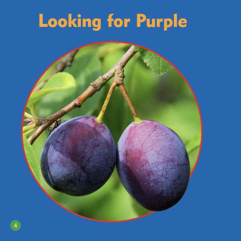Colors In Nature: Purple — page 1