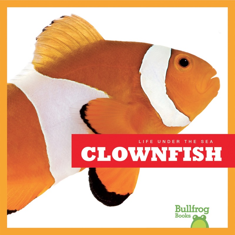 Life Under The Sea: Clownfish book cover