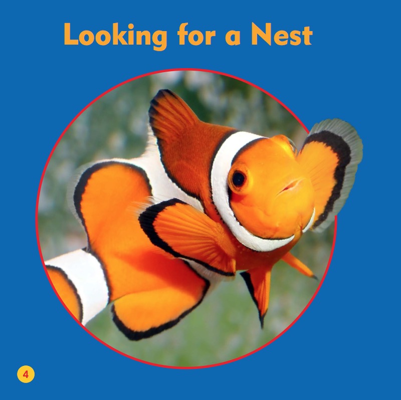 Life Under The Sea: Clownfish — page 1