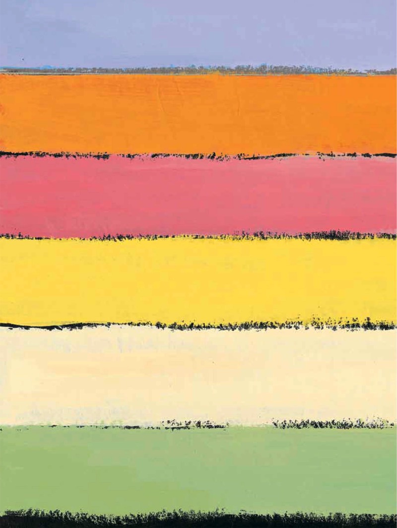 Animal Supermarket book cover