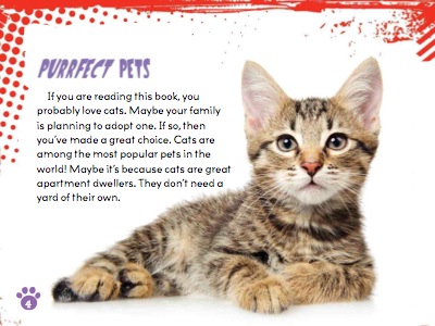Let's Talk About Pets: Kitty Care — page 1