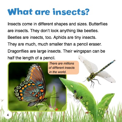 What Do Insects Eat? — page 1