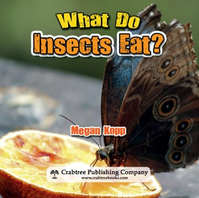 What Do Insects Eat? book cover