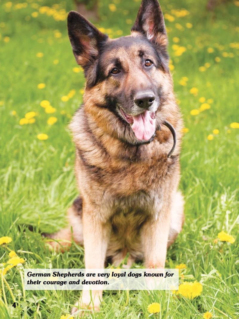 Let's Hear It For German Shepherds — page 1