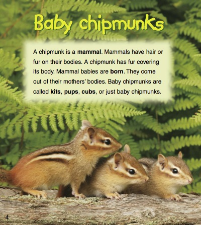 Baby Chipmunks — page 1