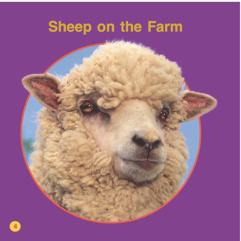Sheep — page 1