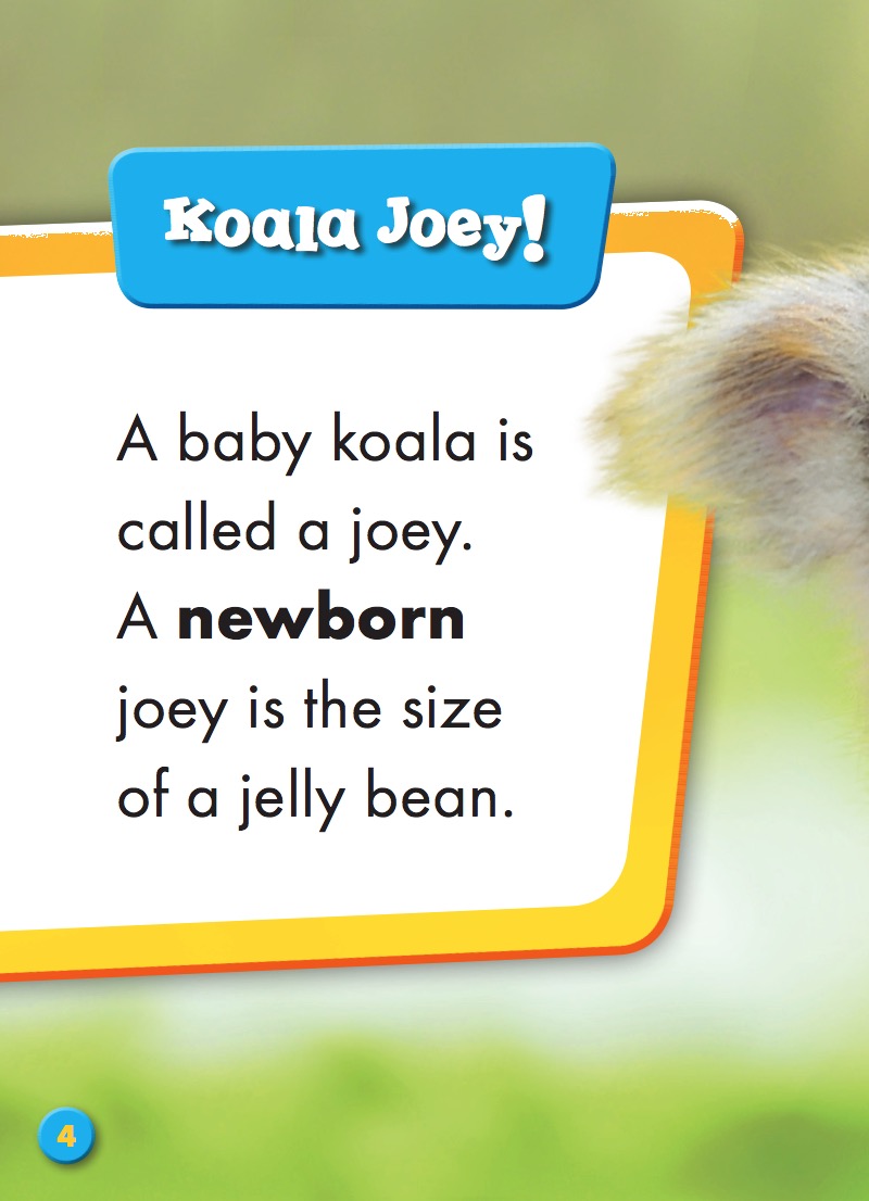 Super Cute! Baby Koalas — page 1