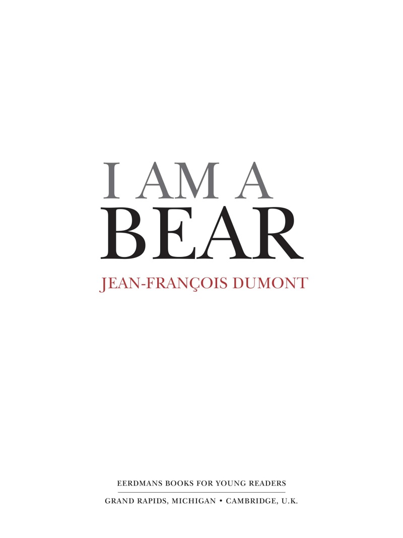 I Am A Bear book cover