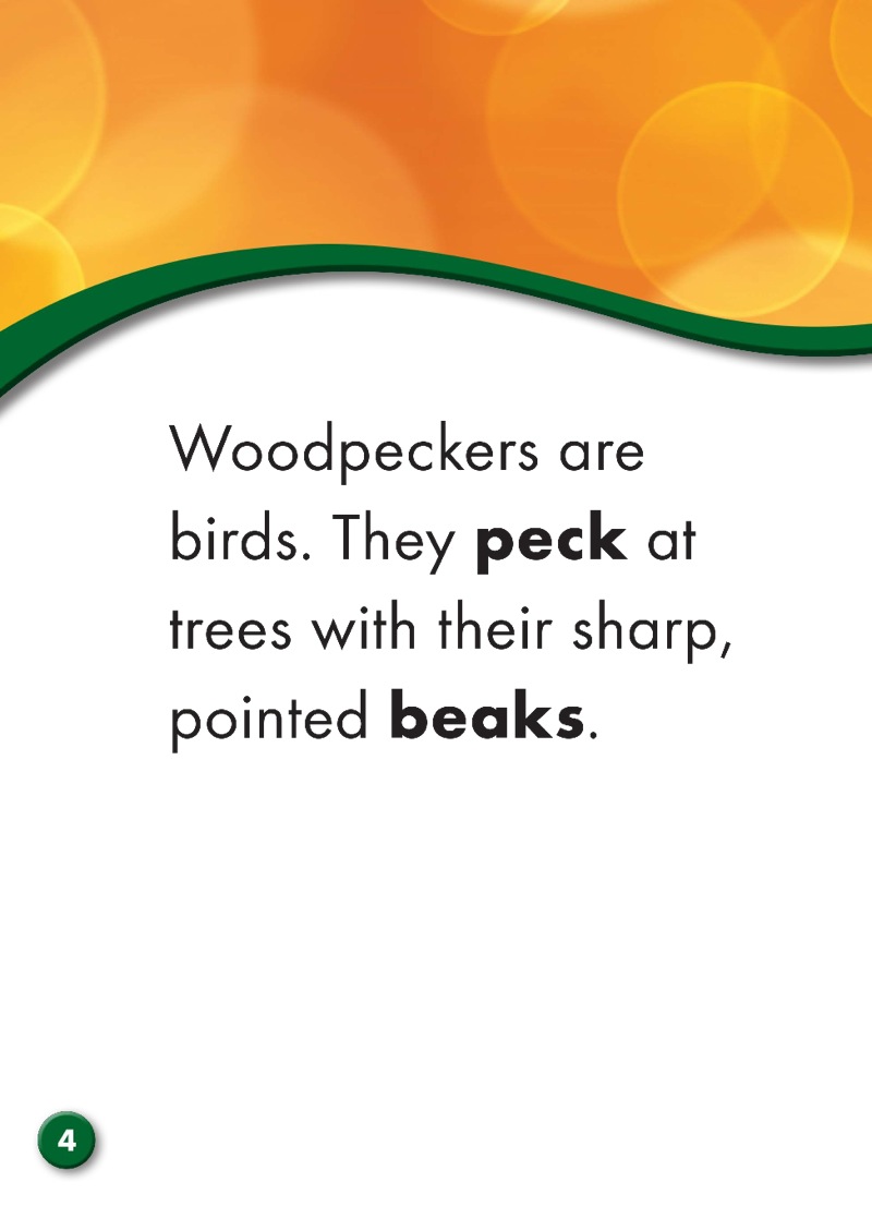 Woodpeckers: Backyard Wildlife — page 1