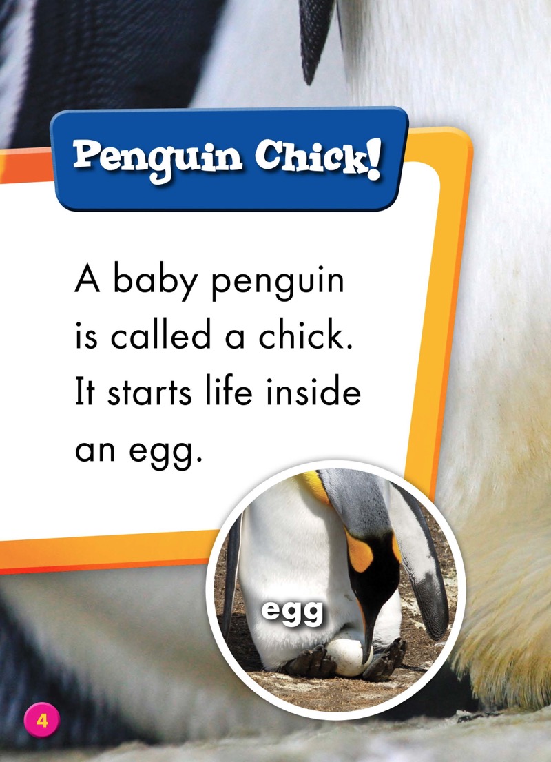 Super Cute! Baby Penguins — page 1