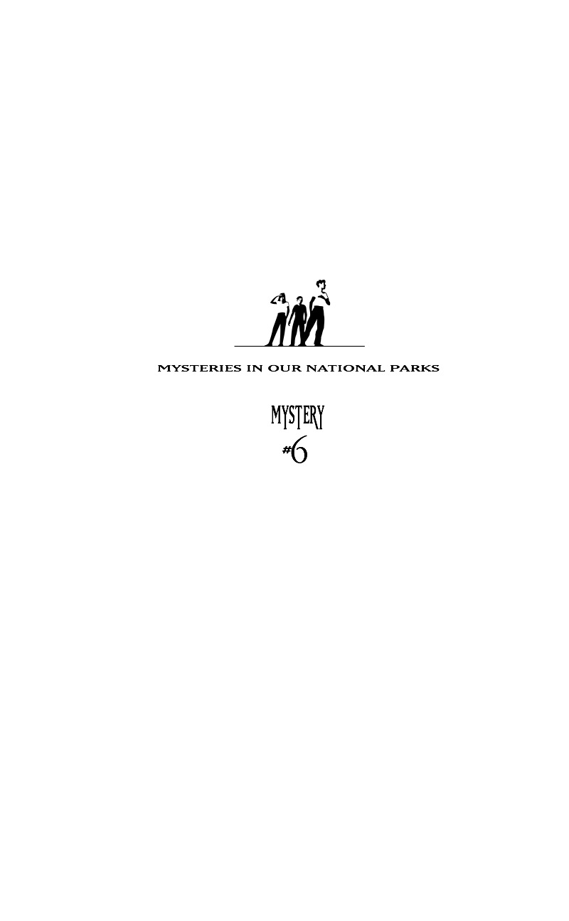 Mysteries In Our National Parks: Ghost Horses book cover