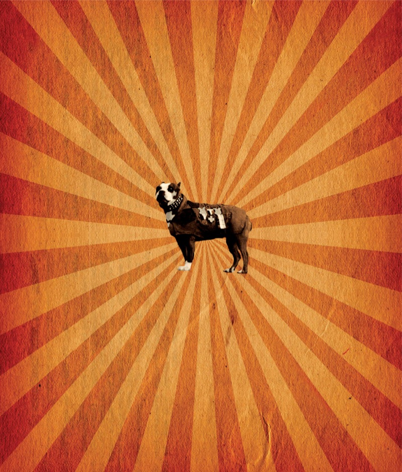 Stubby the War Dog book cover