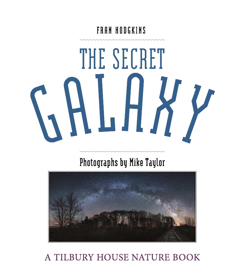 The Secret Galaxy book cover