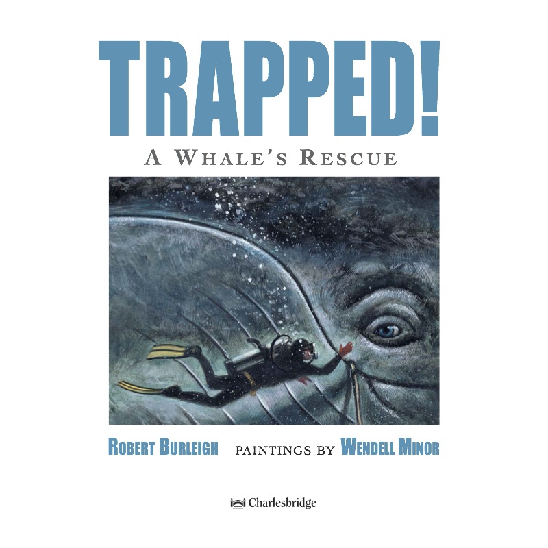 Trapped! A Whale's Rescue book cover