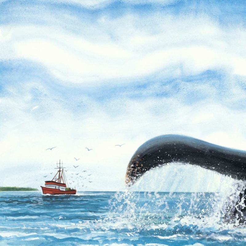 Trapped! A Whale's Rescue — page 1
