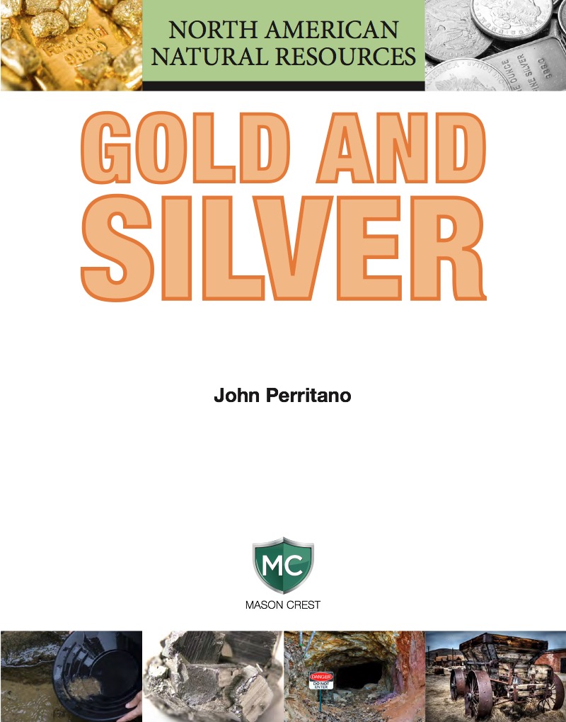 Gold and Silver book cover
