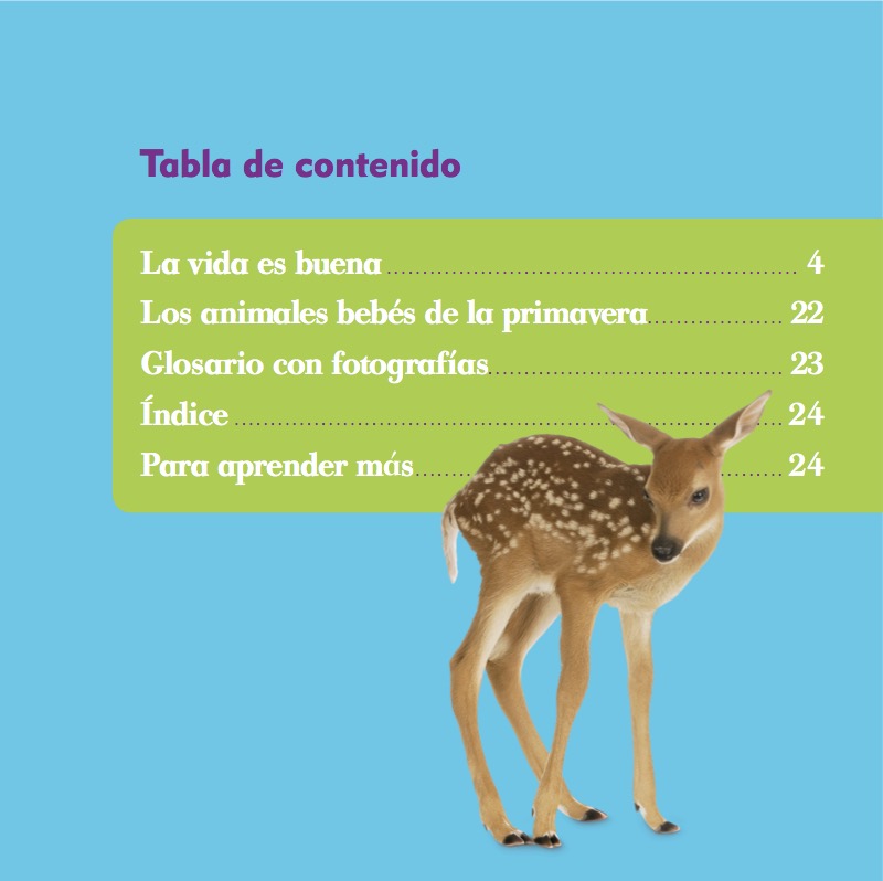 Los animales en la primavera book cover
