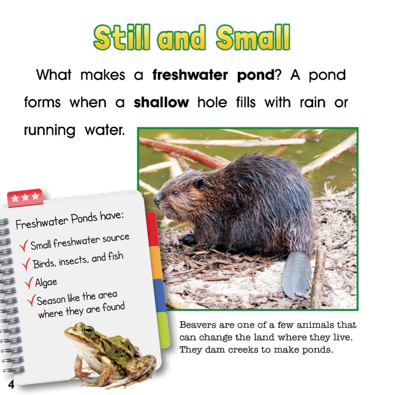 Seasons of the Freshwater Pond Biome — page 1