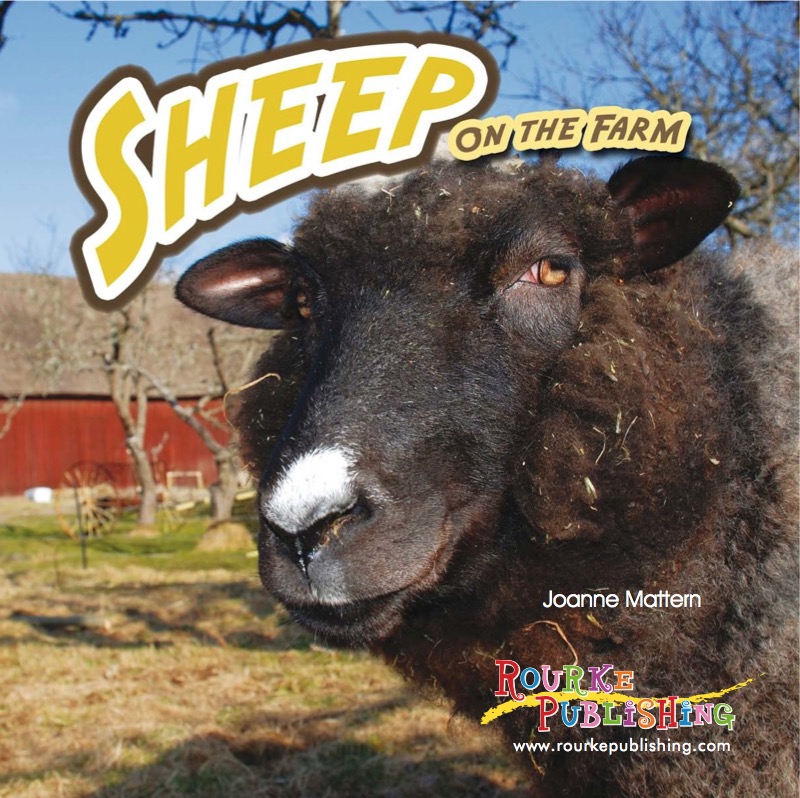 Sheep On The Farm book cover