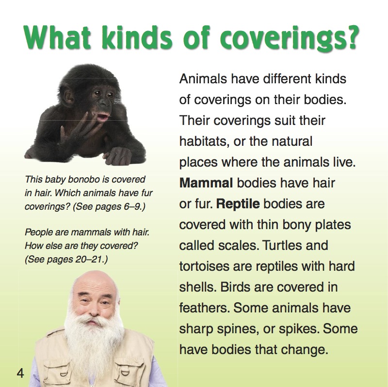 What kinds of coverings do animals have? — page 1