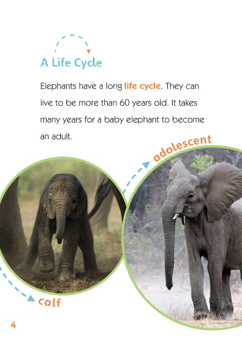 Elephant — page 1
