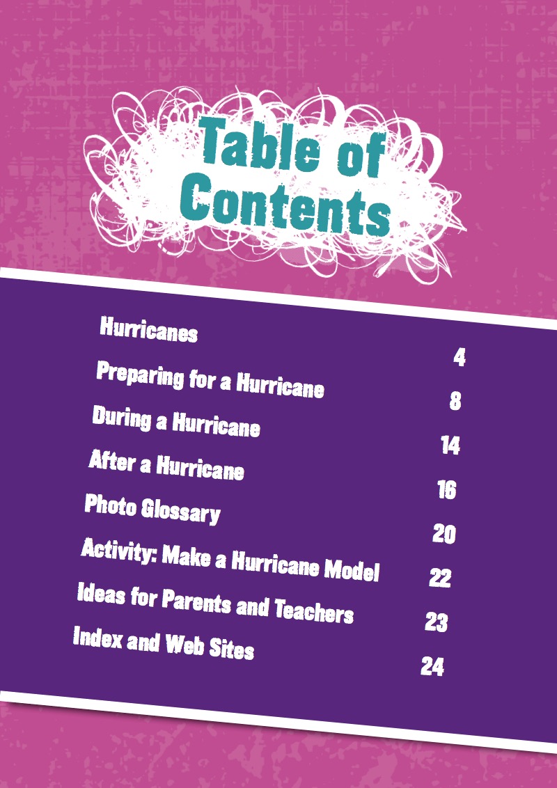 Surviving a Hurricane book cover