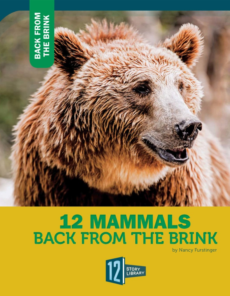 12 Mammals Back From The Brink book cover
