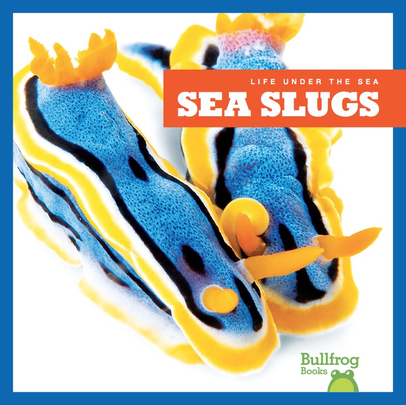 Life Under The Sea: Sea Slugs book cover