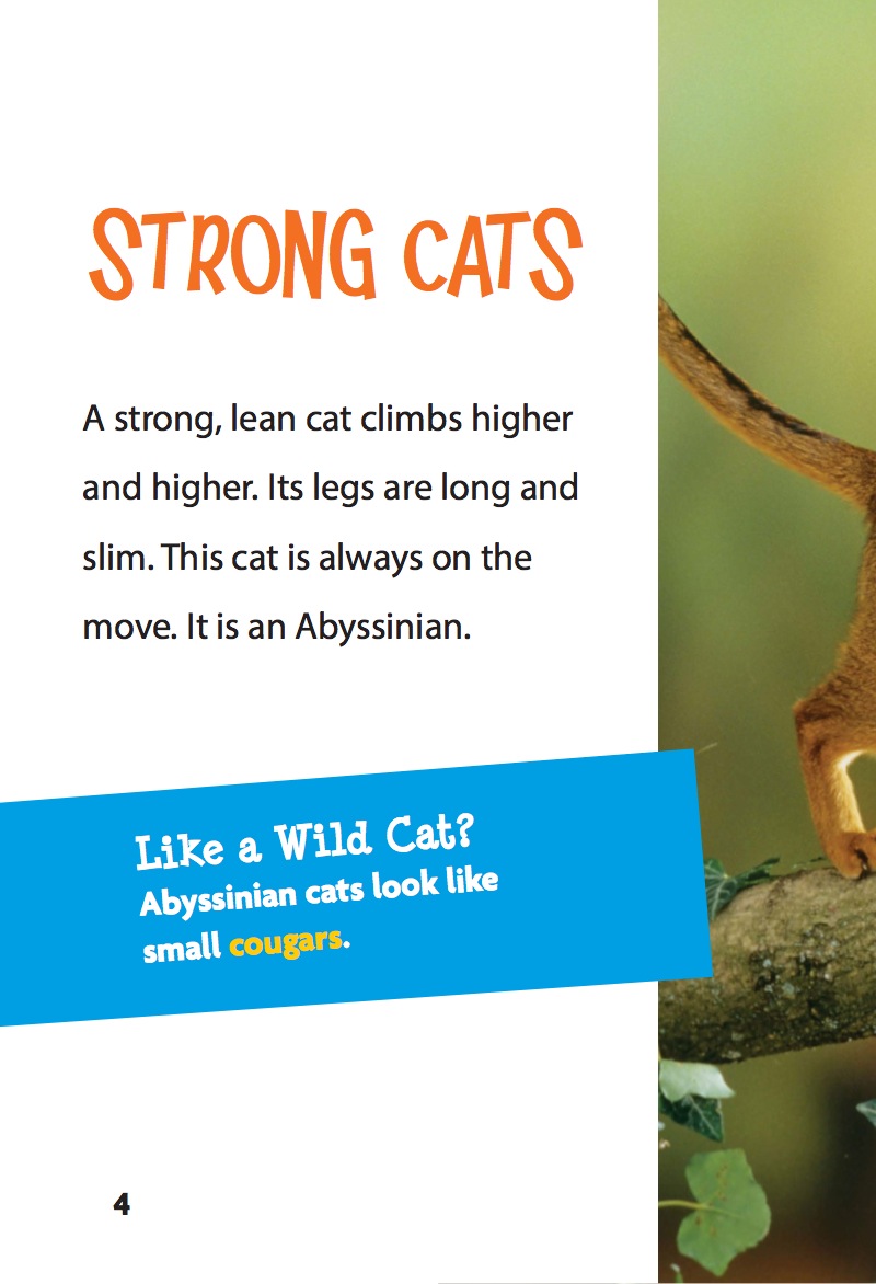Abyssinian Cats — page 1