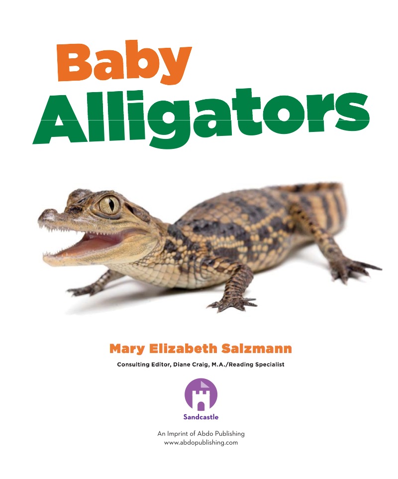 Baby Alligators book cover