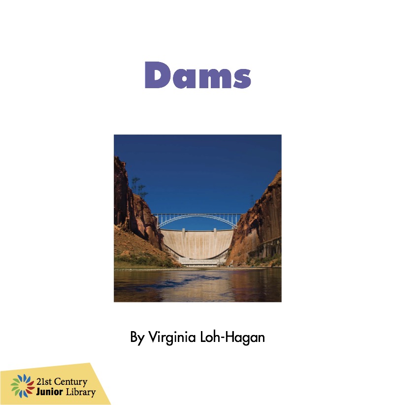 Dams book cover