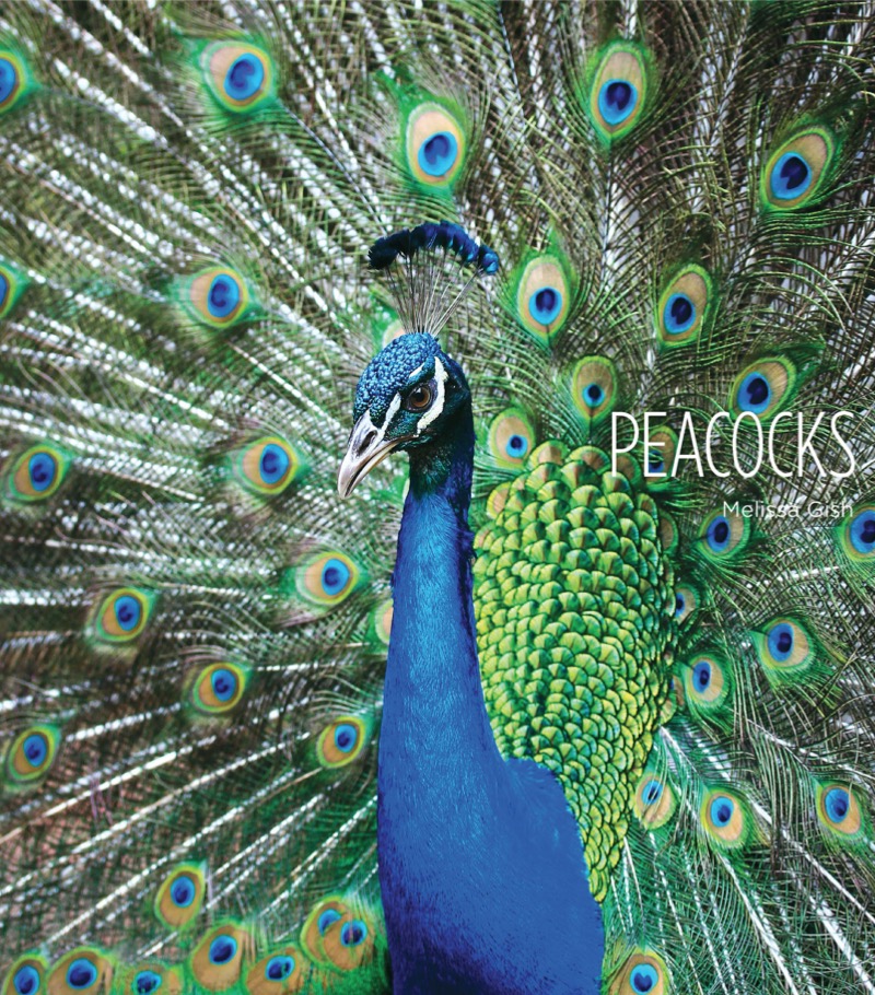 Peacocks book cover