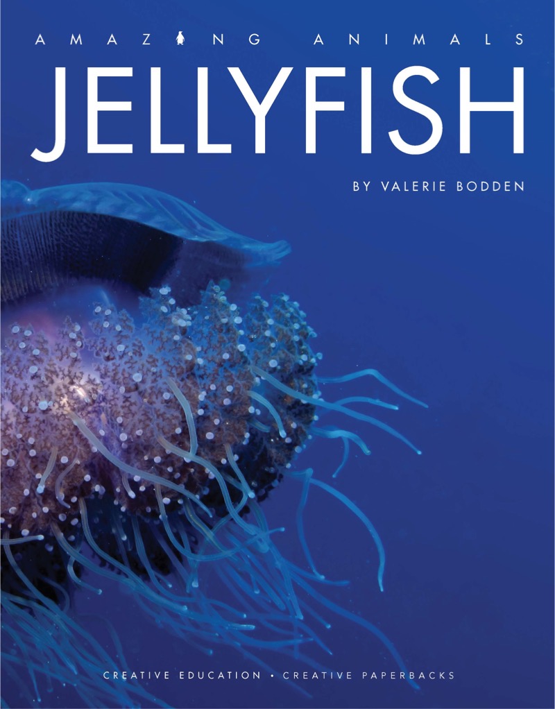 Jellyfish book cover