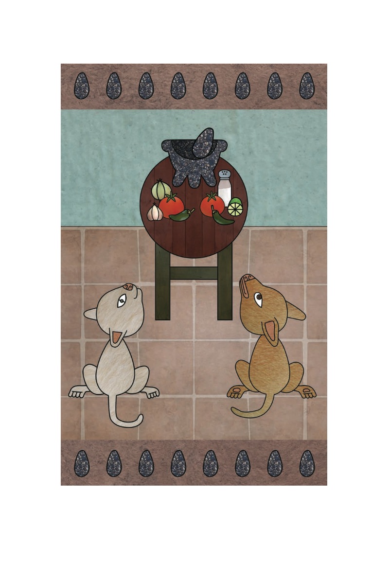Salsa book cover