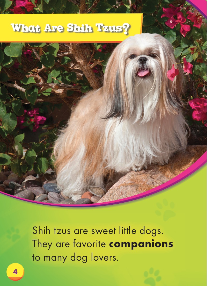 Awesome Dogs: Shih Tzus — page 1