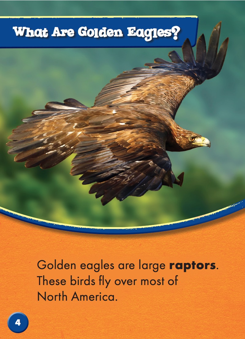 North American Animals: Golden Eagles — page 1