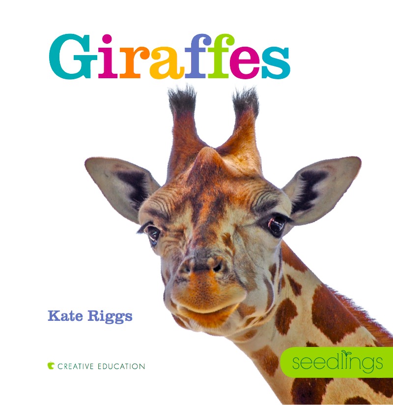 Giraffes book cover
