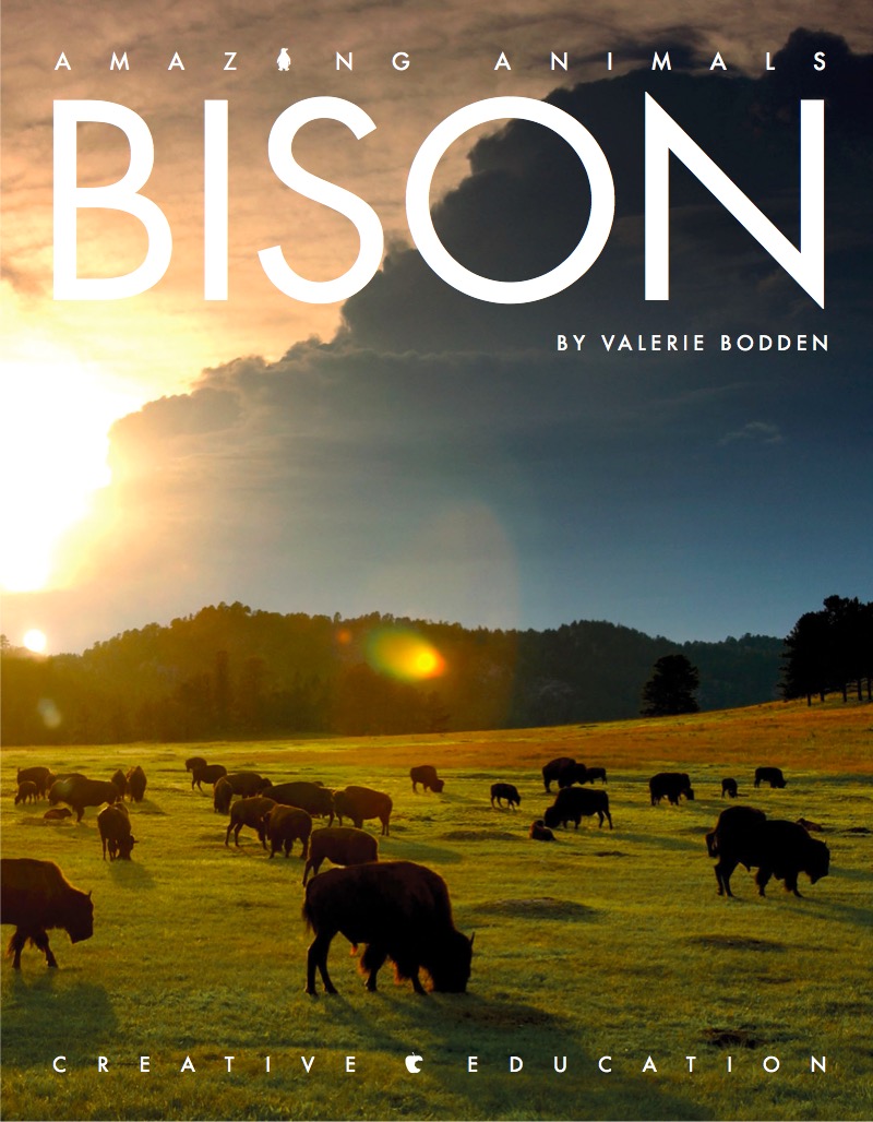 Bison book cover