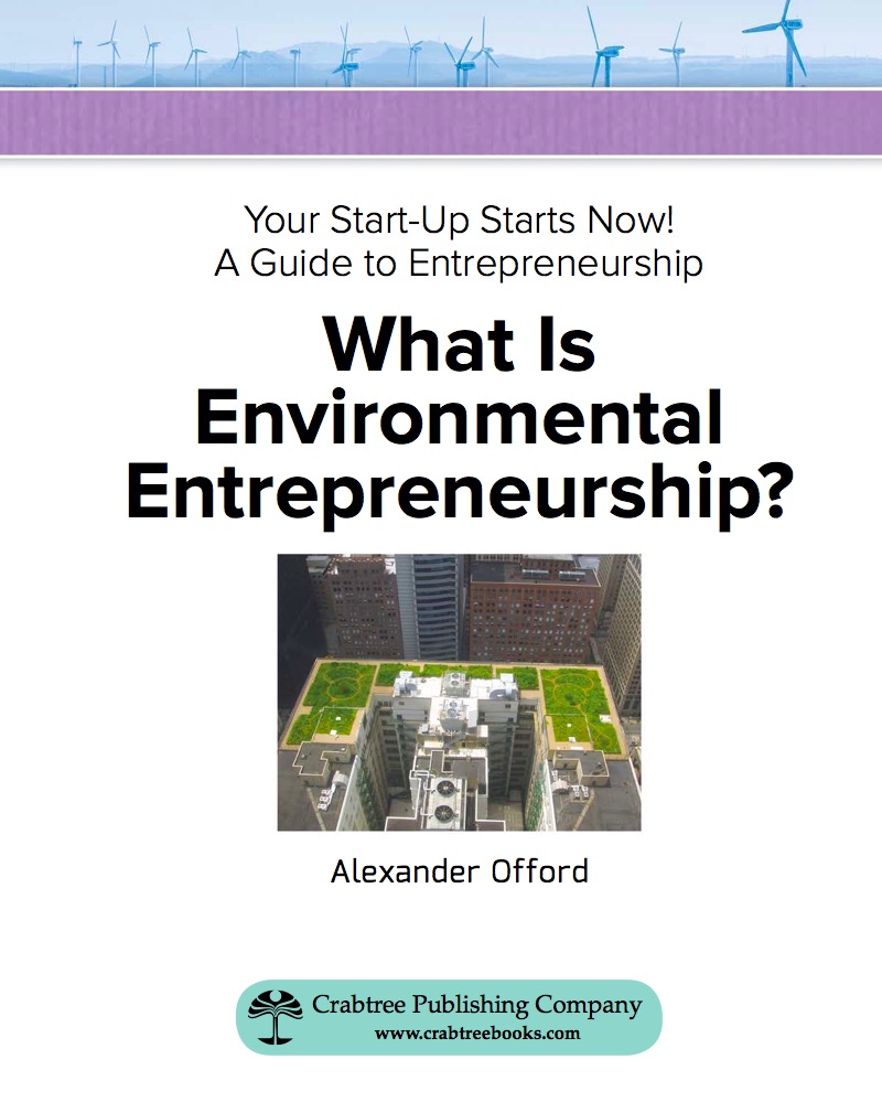 What is Environmental Entrepreneurship? book cover